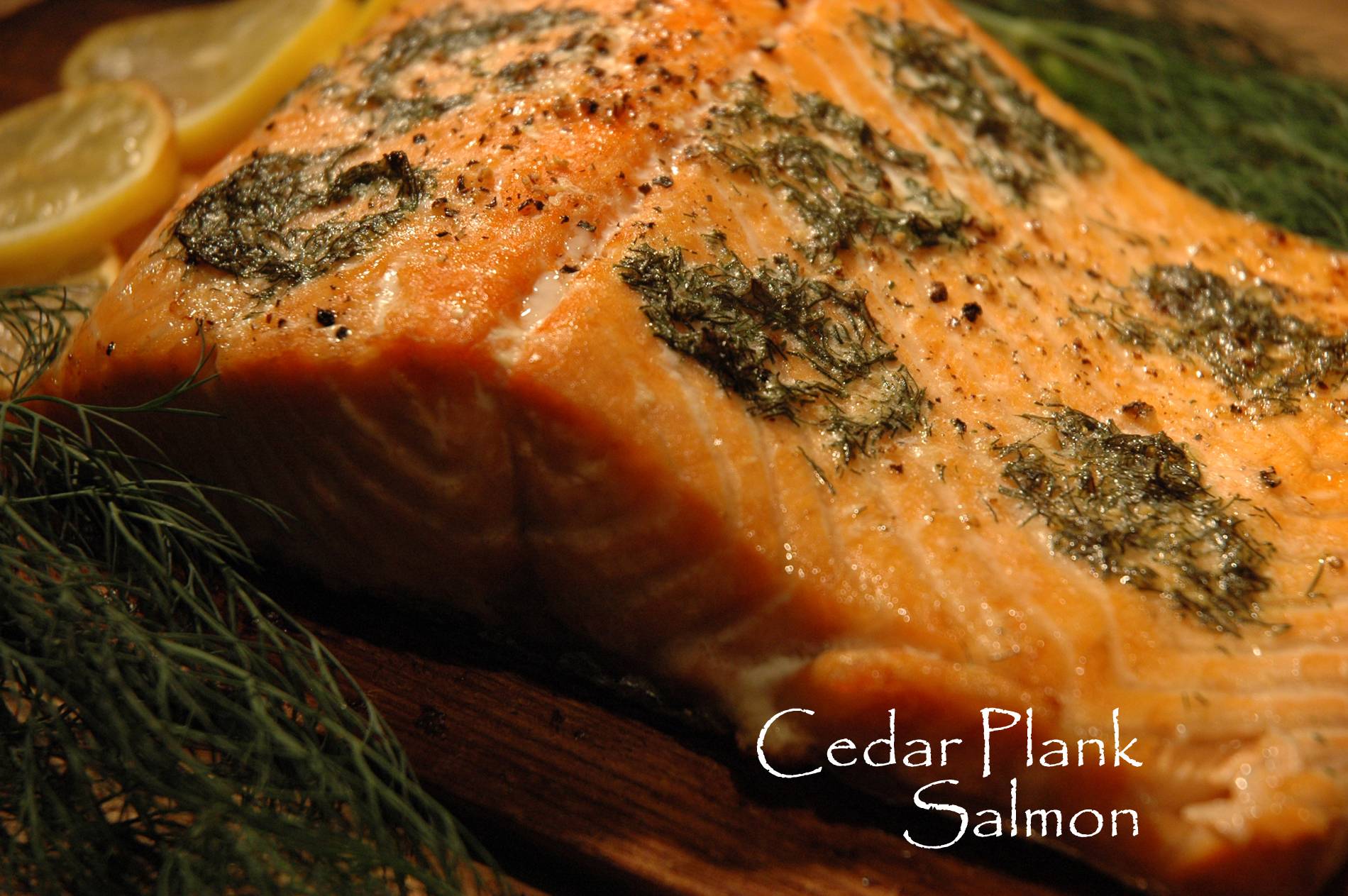 Cedar Salmon