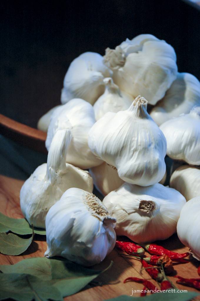 garlic_2