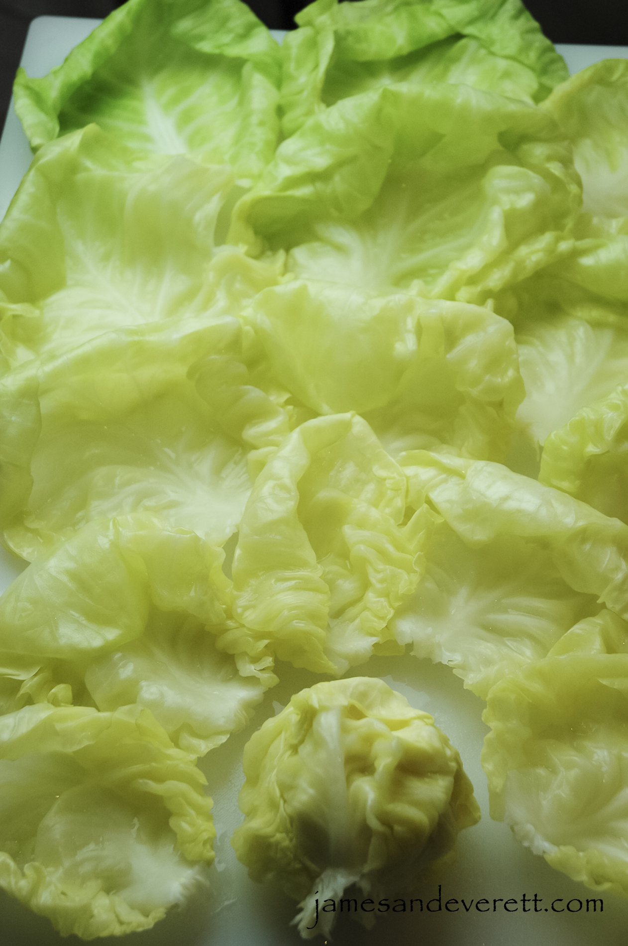 cabbage_rolls_2