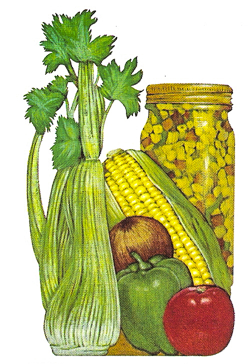 1975 Heinz Pickling Guide