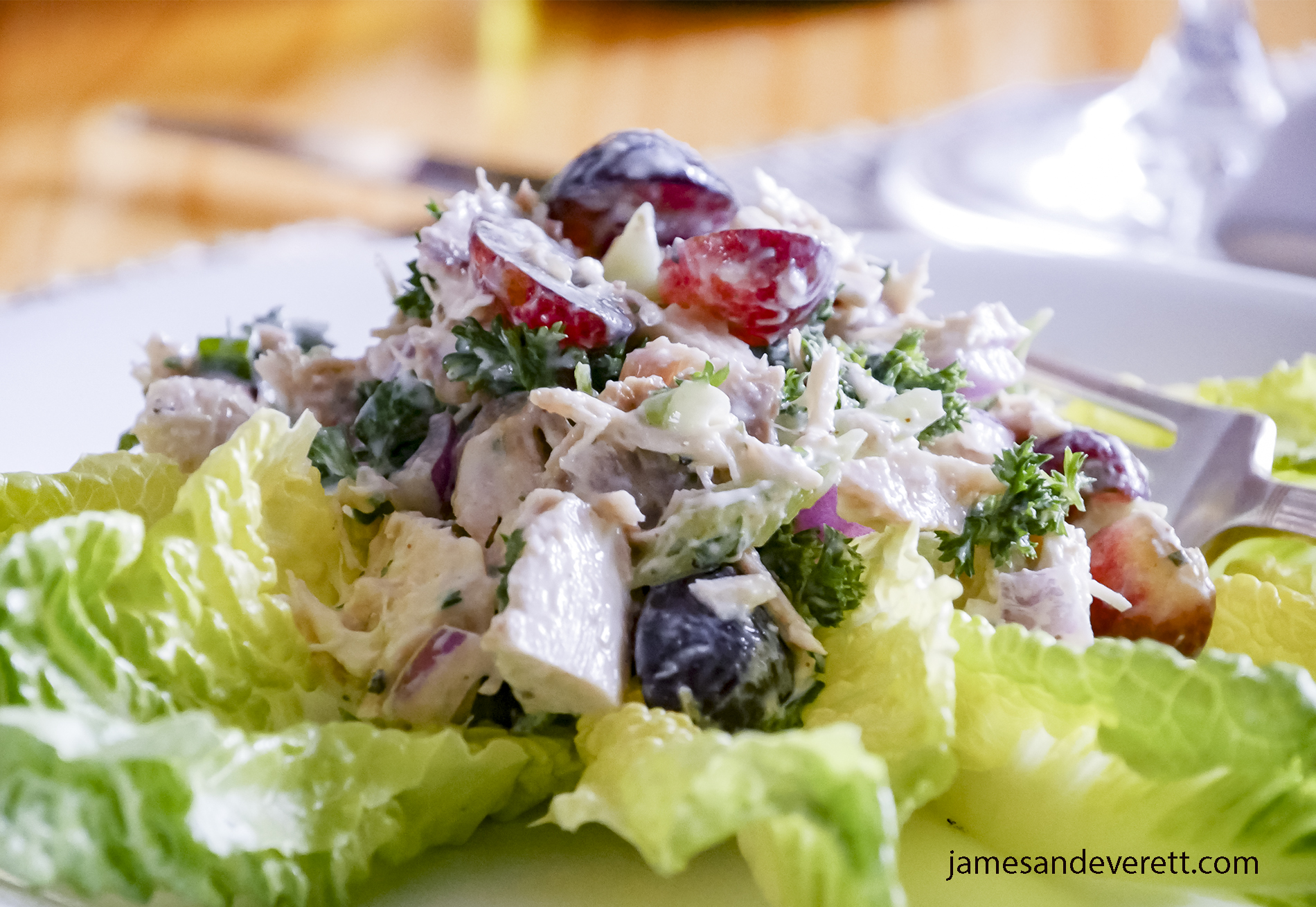 Skinny Turkey Salad Recipe | James & Everett