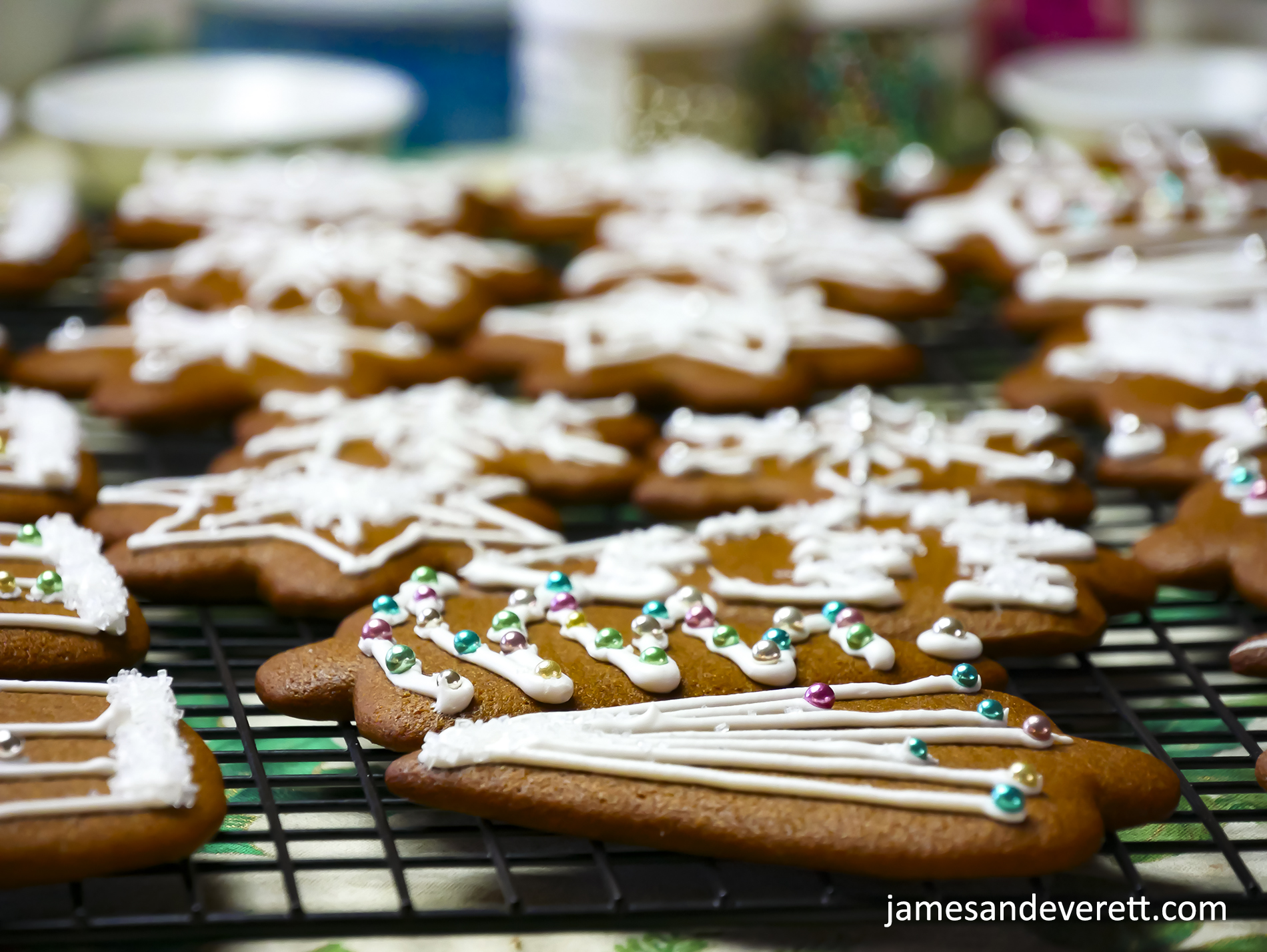 Gingerbread Cookies