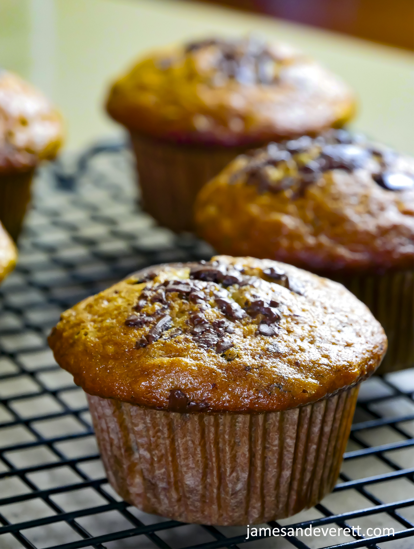 Banana Chocolate Chunk Muffins