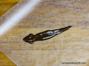 How to make Chocolate leaves