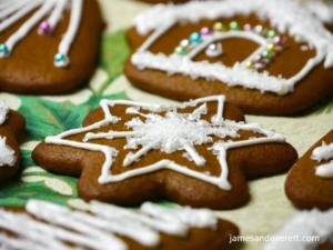 Gingerbread Cookies