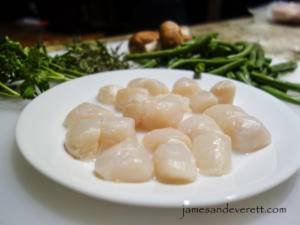 scallops_1