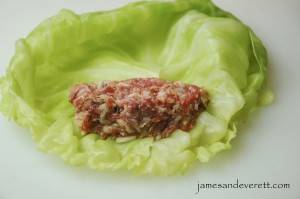 Cabbage Roll    