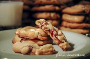 Cranberry Bliss Cookies      