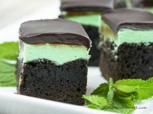 Grasshopper Brownie
