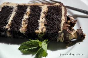 Chocolate and Peanut Butter cake  