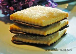 Shortbread Cookies with Orange Chocolate 