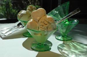 Tahitian Vanilla Ice Cream      